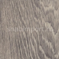 Дизайн плитка Amtico Spacia Credenza Oak SS5W3035 Серый — купить в Москве в интернет-магазине Snabimport