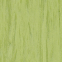 Коммерческий линолеум Tarkett Standart-Plus-0922 зеленый