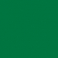 Светофильтр Rosco The Storaro Selection 2004 зеленый — купить в Москве в интернет-магазине Snabimport