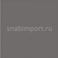 Балетный линолеум Harlequin Studio 890 — купить в Москве в интернет-магазине Snabimport