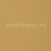 Коммерческий линолеум Altro Suprema II Honey-SU2053 — купить в Москве в интернет-магазине Snabimport