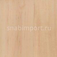 Виниловый ламинат Amtico Click Wood SU5W3009 Бежевый — купить в Москве в интернет-магазине Snabimport Бежевый