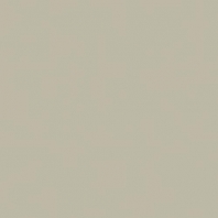 Акриловая краска Oikos Supercolor-B205 Серый — купить в Москве в интернет-магазине Snabimport