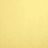 Акриловая краска Oikos Supercolor-IN 283 желтый