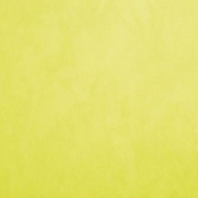 Акриловая краска Oikos Supercolor-IN 292 желтый — купить в Москве в интернет-магазине Snabimport