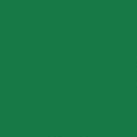 Акриловая краска Oikos Supercolor-IN 321 зеленый — купить в Москве в интернет-магазине Snabimport