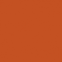 Акриловая краска Oikos Supercolor-IN 533 коричневый — купить в Москве в интернет-магазине Snabimport