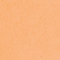 Акриловая краска Oikos Supercolor-IN 794 коричневый — купить в Москве в интернет-магазине Snabimport