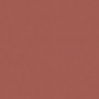 Акриловая краска Oikos Supercolor-N1328 коричневый — купить в Москве в интернет-магазине Snabimport