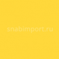 Светофильтр Rosco Supergel 313 Light Relief Yellow желтый — купить в Москве в интернет-магазине Snabimport