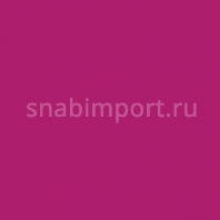Светофильтр Rosco Supergel 339 Broadway Pink Фиолетовый — купить в Москве в интернет-магазине Snabimport