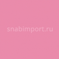 Светофильтр Rosco Supergel 36 Medium Pink Красный — купить в Москве в интернет-магазине Snabimport