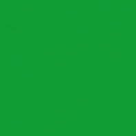 Театральная краска Rosco Supersaturated 5972 1-1 Eмerald Green, 1 л зеленый — купить в Москве в интернет-магазине Snabimport