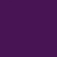 Театральная краска Rosco Supersaturated 5979 1-1 Purple, 1 л Фиолетовый