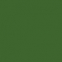 Театральная краска Rosco Supersaturated 5994 1-1 Grass Green, 1 л зеленый