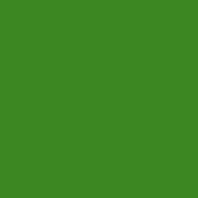 Театральная краска Rosco Supersaturated 5994 4-1 Grass Green, 1 л зеленый — купить в Москве в интернет-магазине Snabimport
