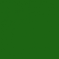Театральная краска Rosco Supersaturated 5997 4-1 Hunter Green, 1 л зеленый — купить в Москве в интернет-магазине Snabimport