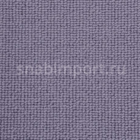 Ковровое покрытие Hammer carpets DessinSupreme boucle 249-15 фиолетовый — купить в Москве в интернет-магазине Snabimport