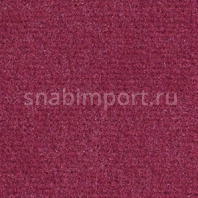 Ковровое покрытие Balsan Sydney DD 560 PIVOINE Фиолетовый — купить в Москве в интернет-магазине Snabimport