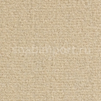 Ковровое покрытие Balsan Sydney DD 605 CREME Бежевый — купить в Москве в интернет-магазине Snabimport