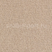 Ковровое покрытие Balsan Sydney DD 740 NOISETTE Бежевый — купить в Москве в интернет-магазине Snabimport