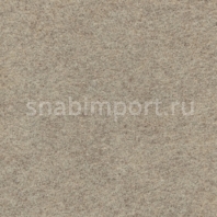Иглопробивной ковролин Tecsom Tapisom 600 00032 Бежевый — купить в Москве в интернет-магазине Snabimport