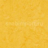Натуральный линолеум Forbo Marmoleum Modular Colour t3251 — купить в Москве в интернет-магазине Snabimport