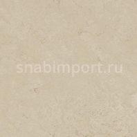 Натуральный линолеум Forbo Marmoleum Modular Shade t3711 — купить в Москве в интернет-магазине Snabimport