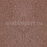 Ковровая плитка Tapibel Classic 49330 Коричневый — купить в Москве в интернет-магазине Snabimport