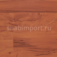 Ламинат Tarkett Robinson Груша Боск коричневый — купить в Москве в интернет-магазине Snabimport