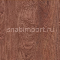 Ламинат Tarkett Robinson Ятоба коричневый — купить в Москве в интернет-магазине Snabimport