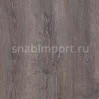 Ламинат Tarkett Estetica 933 Дуб эффект серый Серый — купить в Москве в интернет-магазине Snabimport