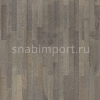 Паркетная доска Tarkett Salsa Ясень Серый Серый — купить в Москве в интернет-магазине Snabimport