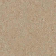 Натуральный линолеум Forbo Marmoleum Terra-5803 коричневый