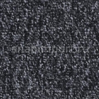 Контрактный ковролин Condor Сarpets Titan 78 чёрный — купить в Москве в интернет-магазине Snabimport