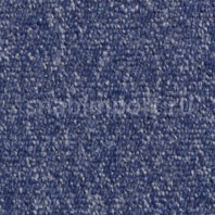 Контрактный ковролин Condor Сarpets Titan 82 синий — купить в Москве в интернет-магазине Snabimport
