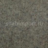 Ковровое покрытие Carpet Concept Tizo B02801 Серый