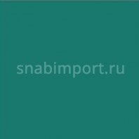 Плинтус Dollken TLE-55-1307 зеленый — купить в Москве в интернет-магазине Snabimport