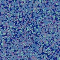 Ковровое покрытие Halbmond Tiles &amp; More 4 TM4-047-03 голубой — купить в Москве в интернет-магазине Snabimport