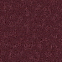 Ковровое покрытие Balsan Togo 881 коричневый — купить в Москве в интернет-магазине Snabimport
