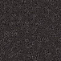 Ковровое покрытие Balsan Togo 981 чёрный — купить в Москве в интернет-магазине Snabimport