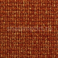 Контрактный ковролин Condor Сarpets Touareg 204 оранжевый — купить в Москве в интернет-магазине Snabimport