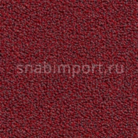 Контрактный ковролин Condor Сarpets Traffic 57 Красный — купить в Москве в интернет-магазине Snabimport
