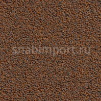 Контрактный ковролин Condor Сarpets Traffic 65 коричневый — купить в Москве в интернет-магазине Snabimport