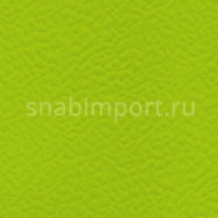 Спортивные покрытия Gerflor Taraflex™ Surface 6559 — купить в Москве в интернет-магазине Snabimport