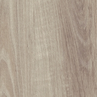 Флокированная ковровая плитка Vertigo Trend Wood 3101 CASHMERE OAK Серый