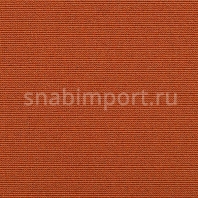Ковровое покрытие Carpet Concept Uno 1894 оранжевый