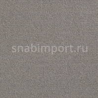 Ковровое покрытие Carpet Concept Uno 54002 Серый — купить в Москве в интернет-магазине Snabimport