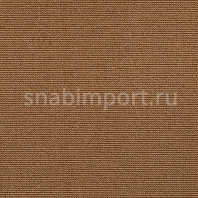Ковровое покрытие Carpet Concept Uno 60144 коричневый — купить в Москве в интернет-магазине Snabimport