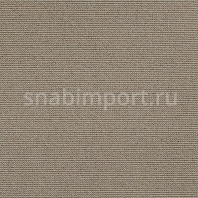 Ковровое покрытие Carpet Concept Uno 60150 Серый — купить в Москве в интернет-магазине Snabimport